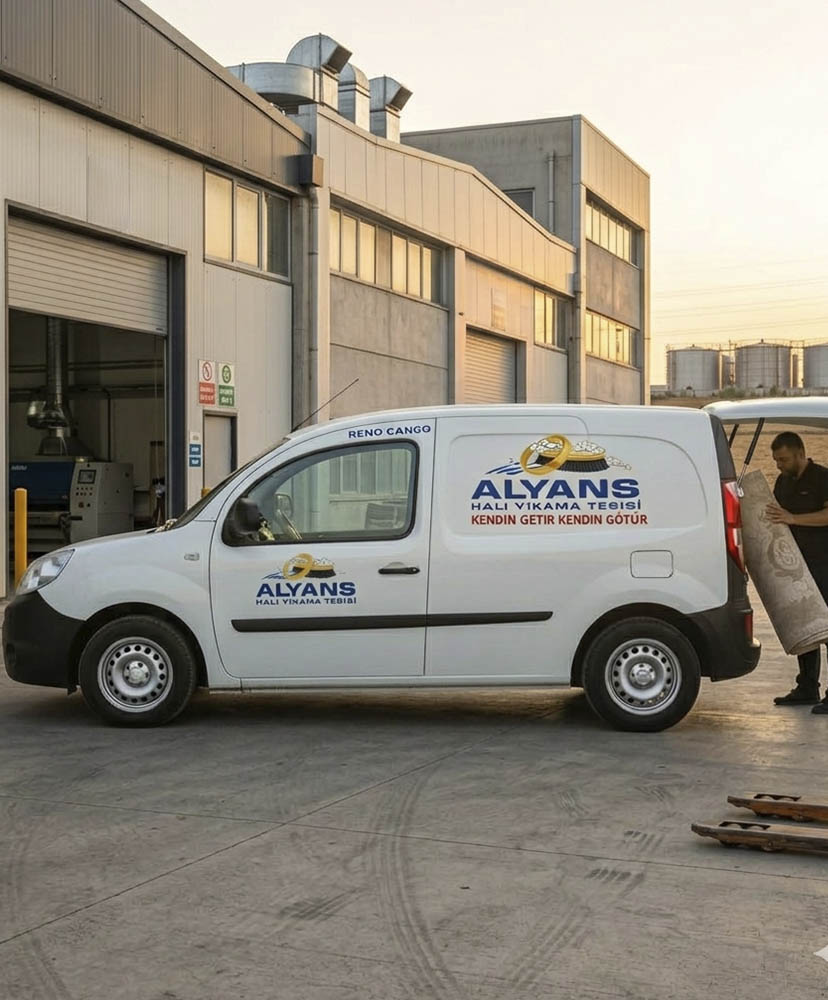 alyans1