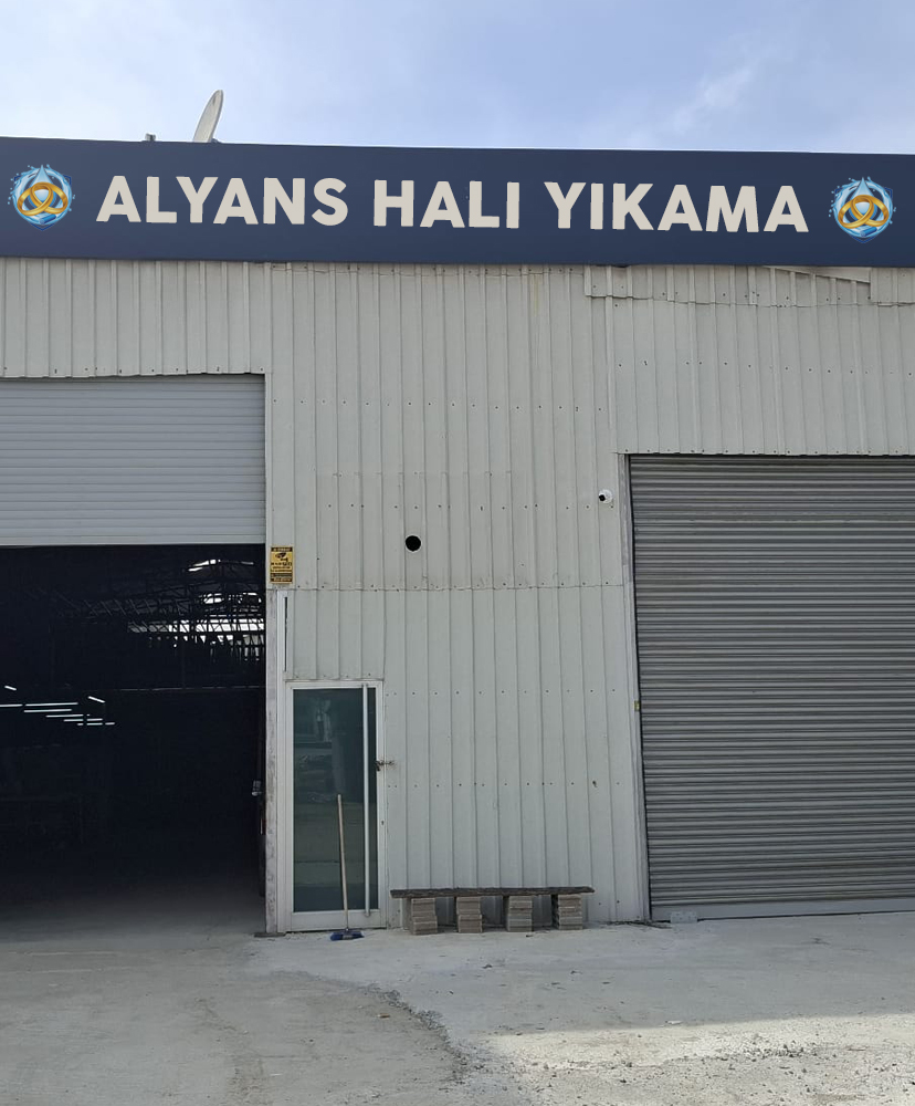 alyanss