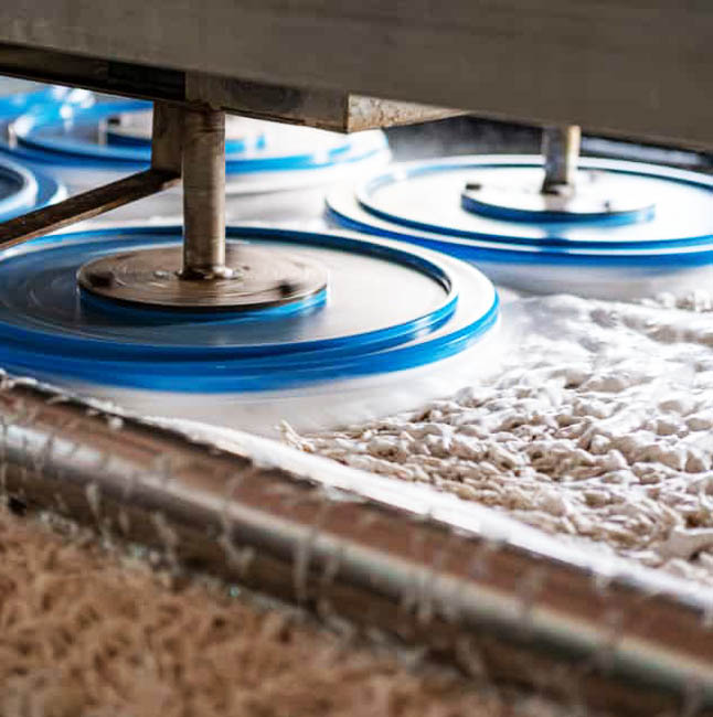 carpet clean2
